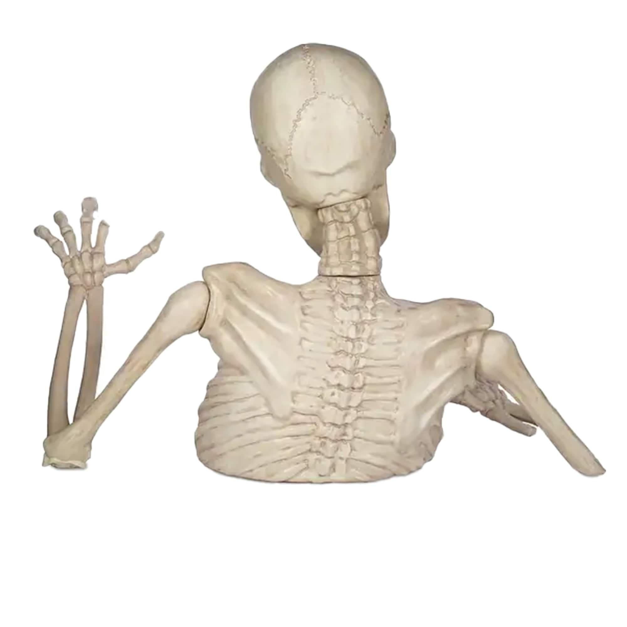 Rattles the Groundbreaking Skeleton Plastic Yard Decorating Kit. 4ft - Image 3