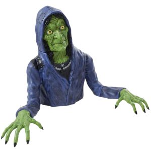 Cackles the Groundbreaking Witch Plastic Yard Decorating Kit. 35in