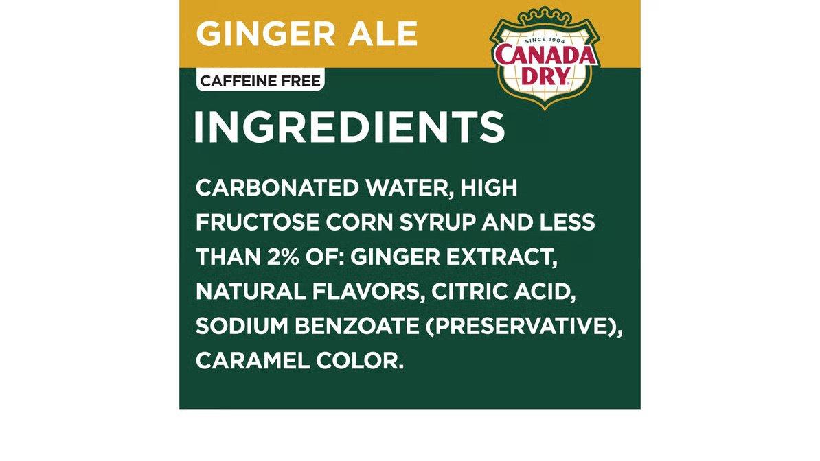 Canada Dry Ginger Ale (2 L) - Image 4