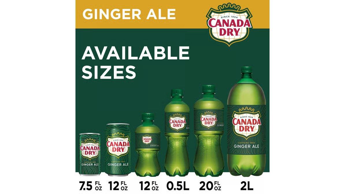 Canada Dry Ginger Ale (12 oz x 12 ct) - Image 3