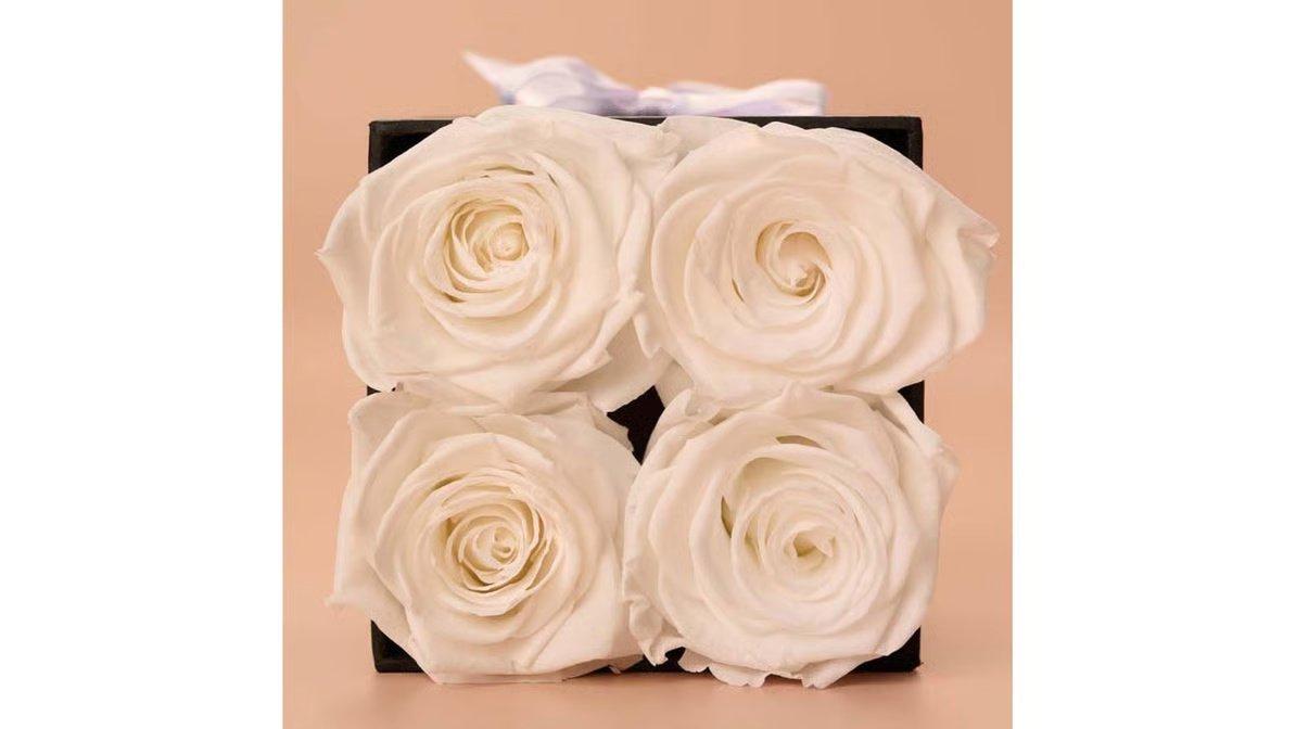 Princess White Preserved Roses Gift Box (4 ct) - Image 3