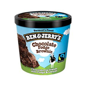 Ben & Jerry's Ice Cream Chocolate Fudge Brownie (1 pt)