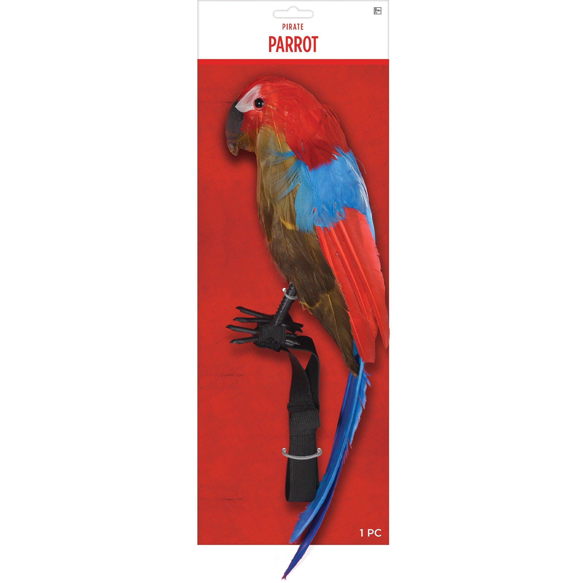 Pirate Parrot - Image 4