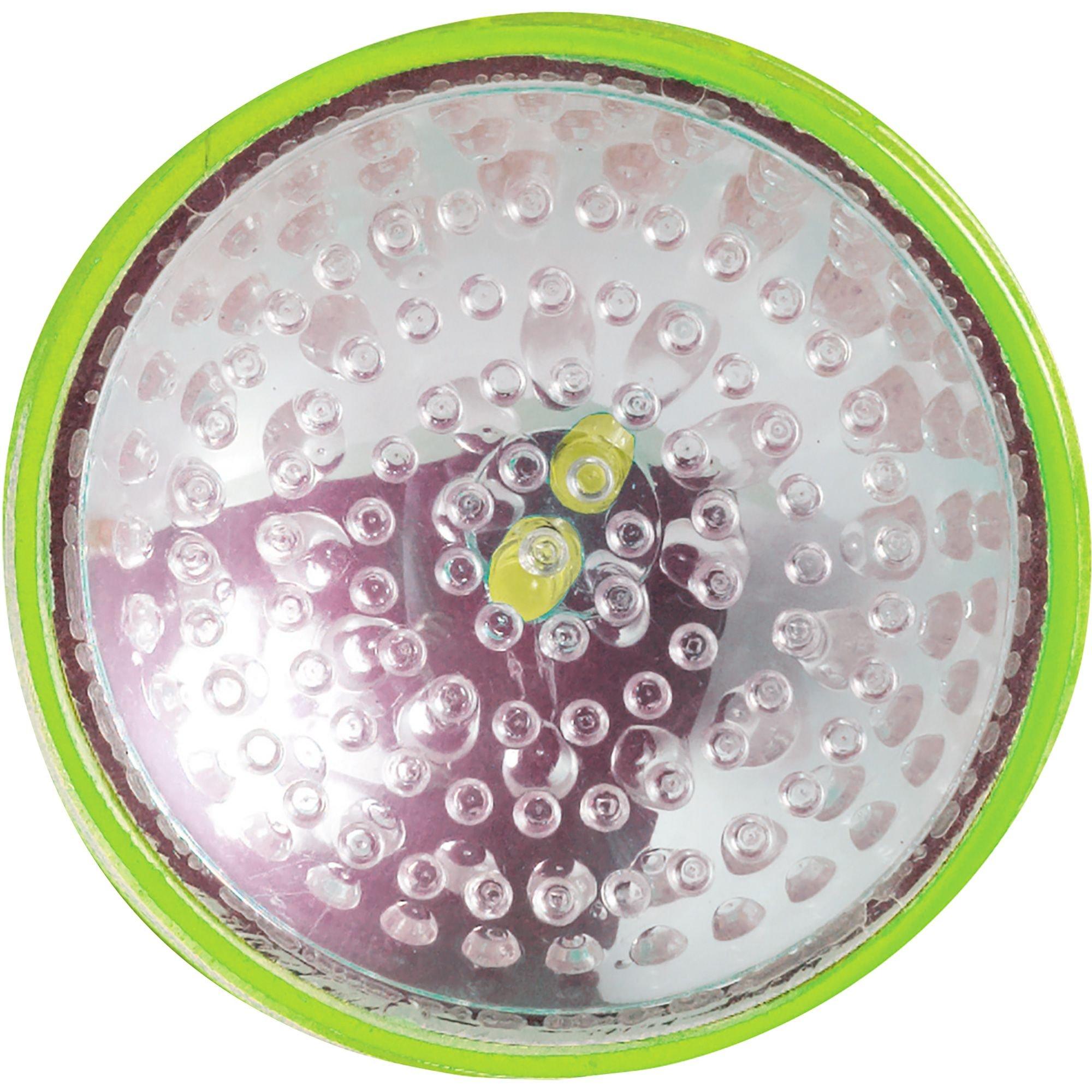 Strobe Pumpkin Lite - Image 2