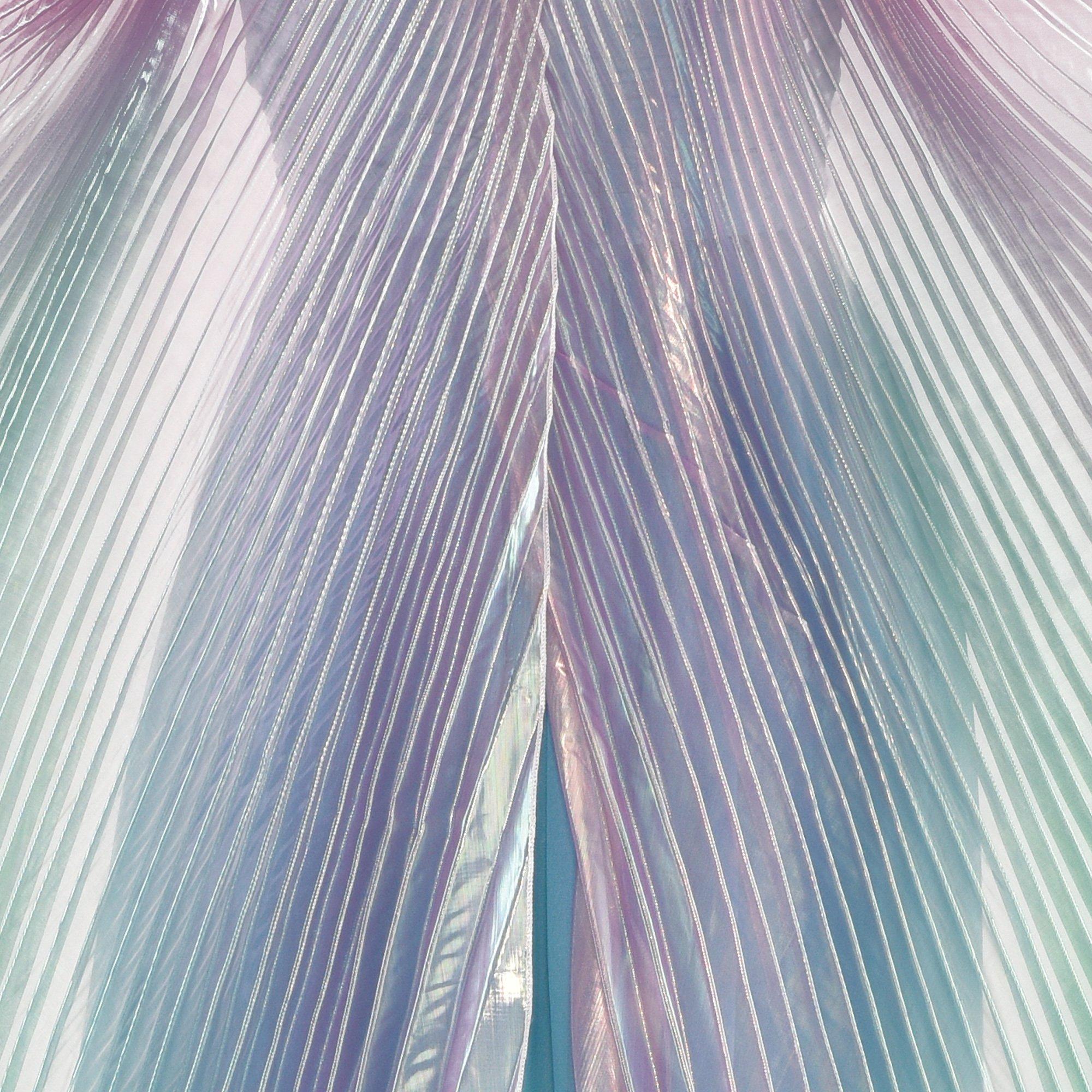 Iridescent Wings - Image 2