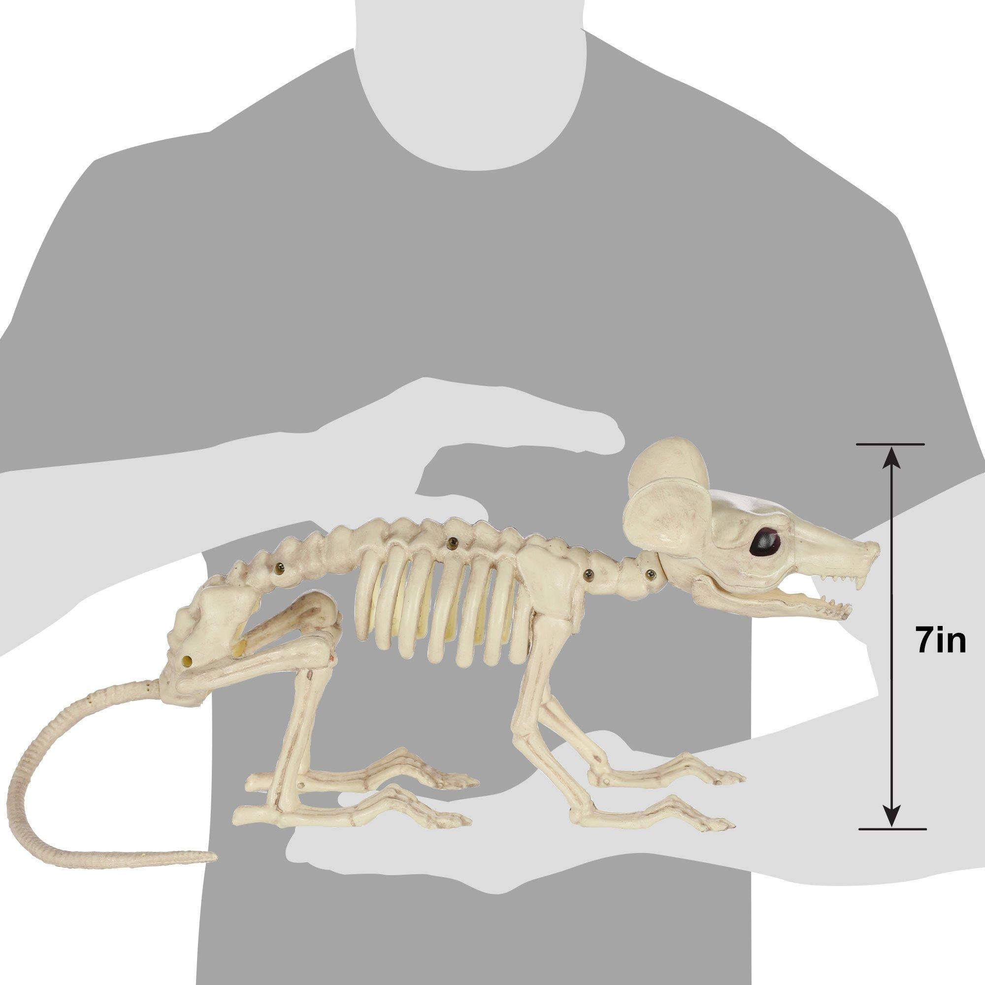 Large Plastic Rat Skeleton. 13.5in x 7in - Image 5