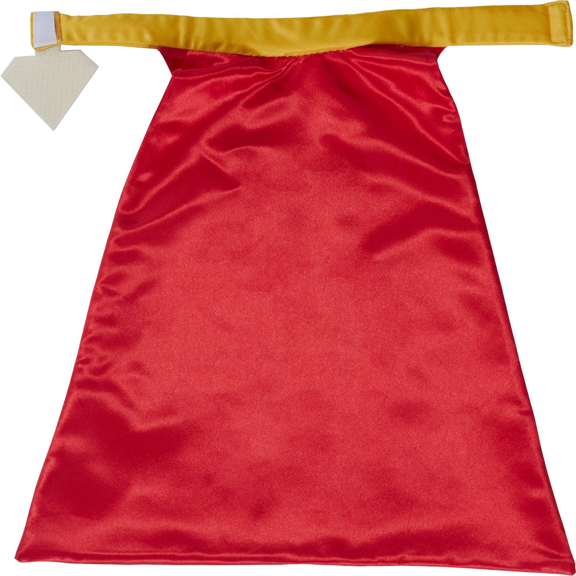 Krypto Pet Cape and Collar - Image 5