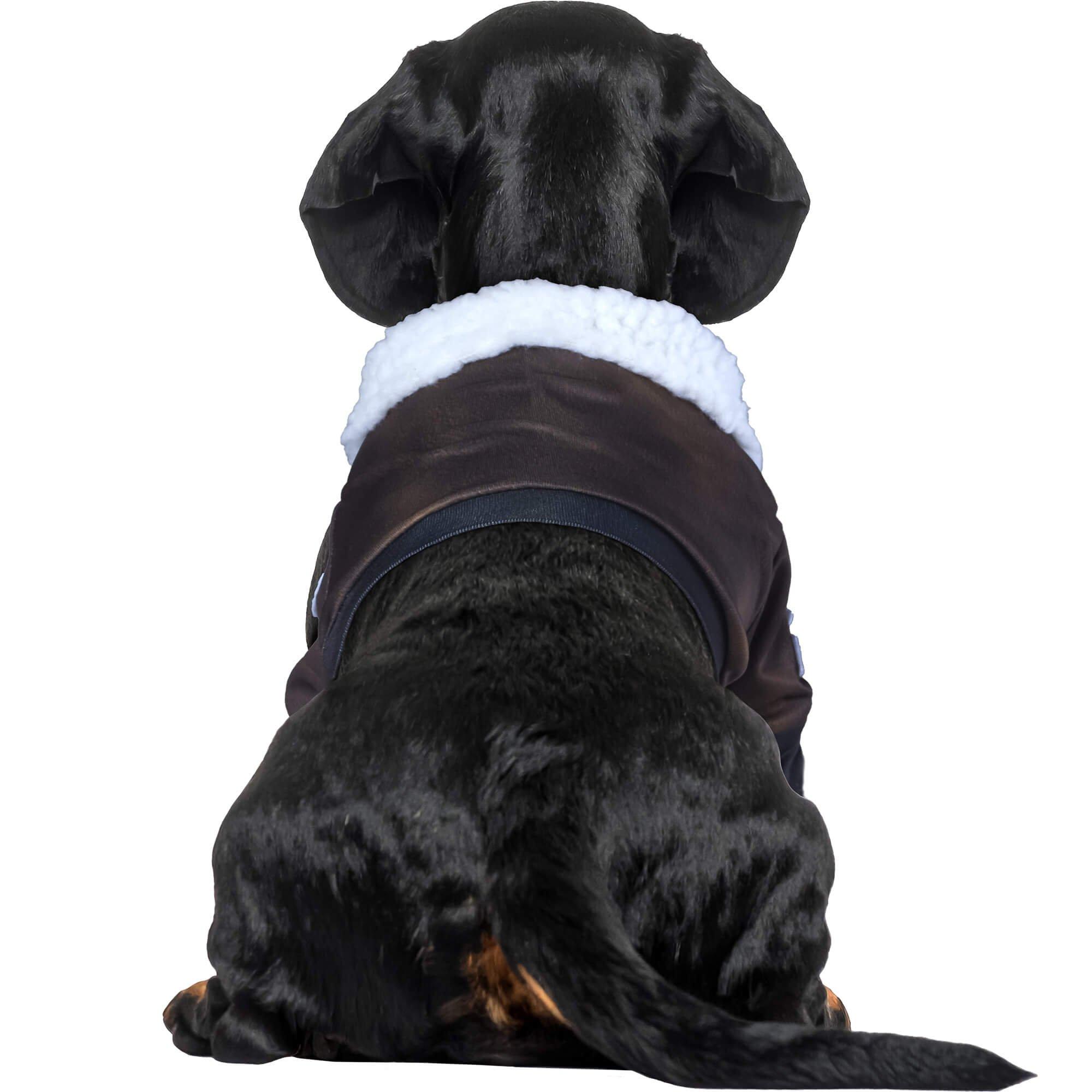 Top Gun Pet Jacket - Image 3