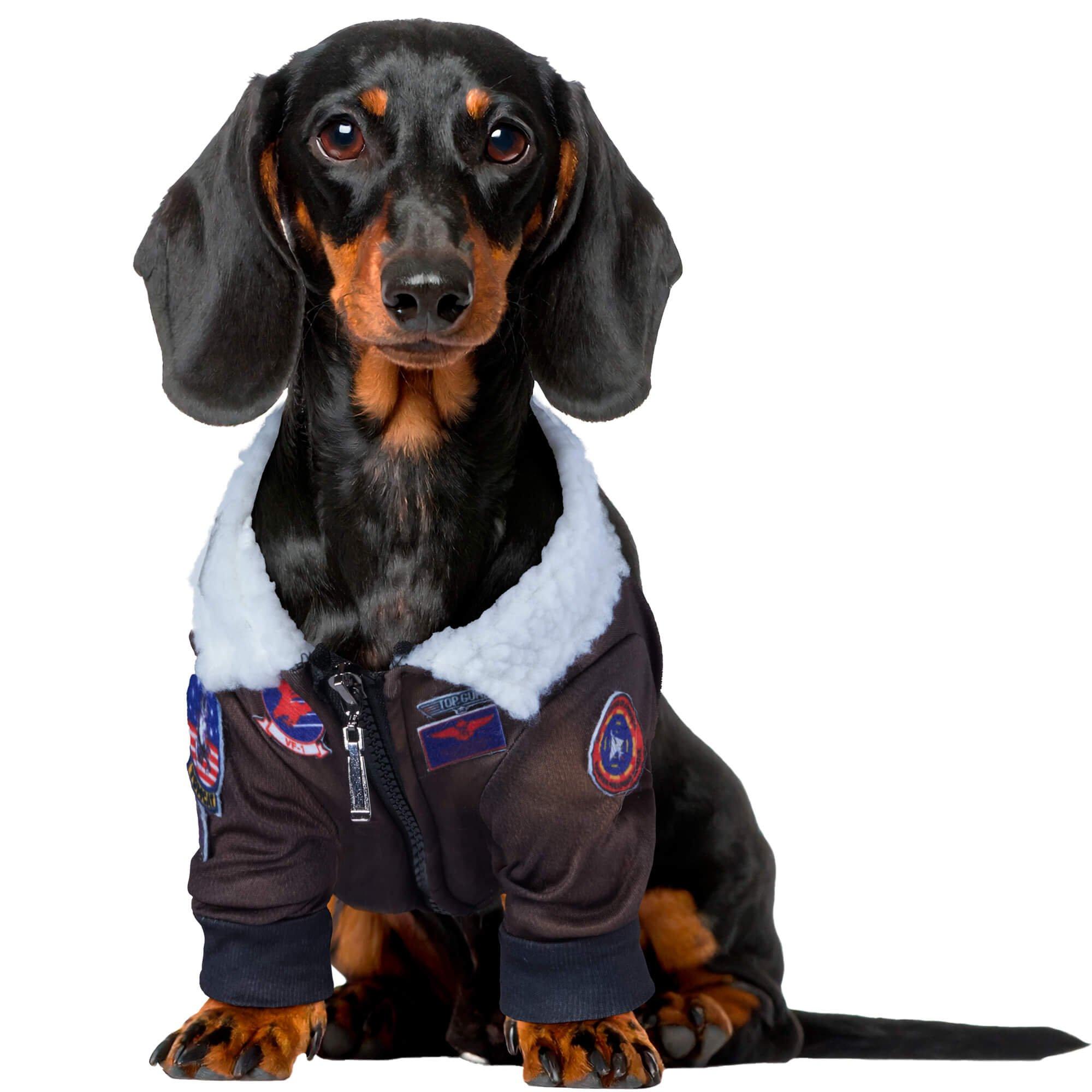 Top Gun Pet Jacket - Image 6