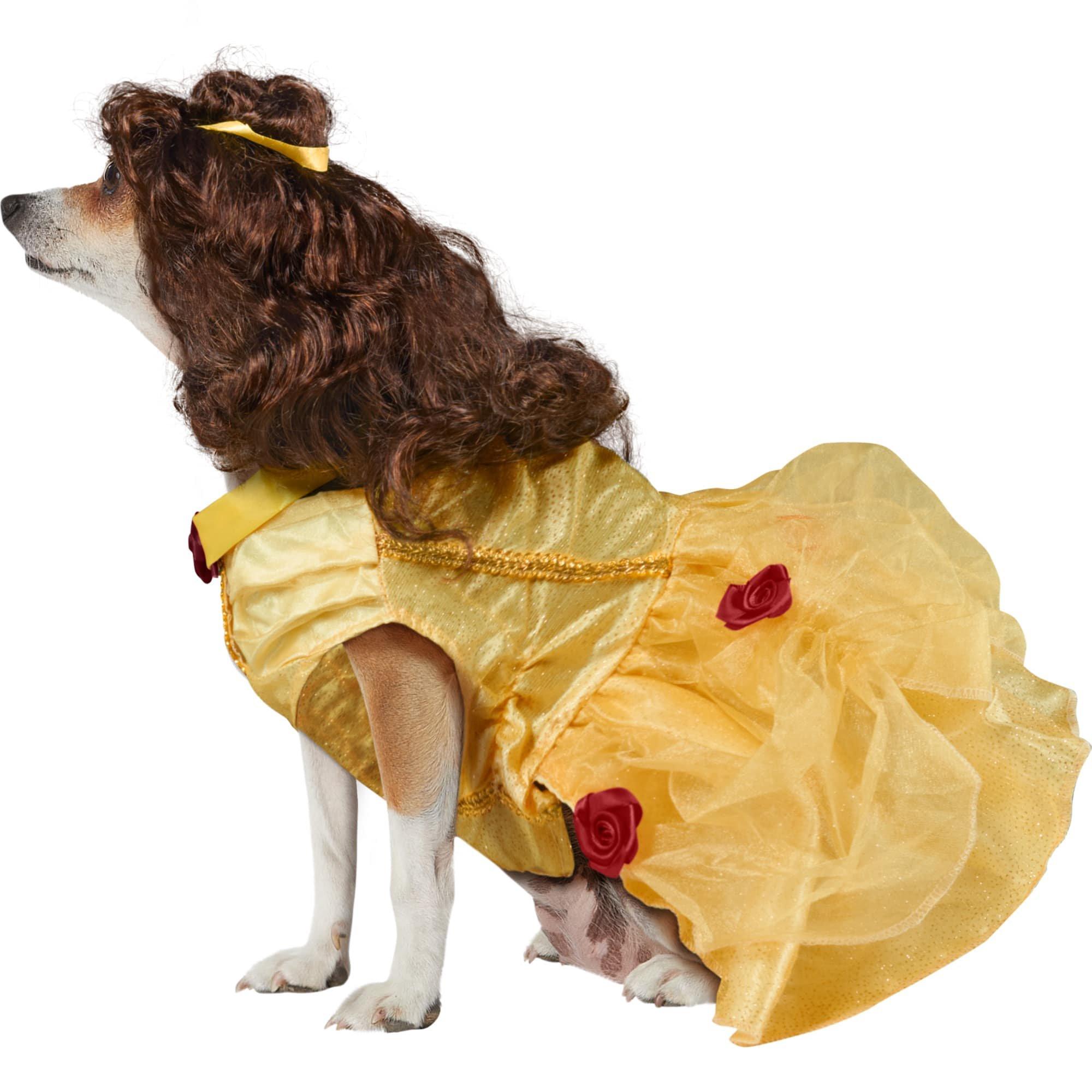 Belle Dog Costume - Beauty and the Beast - Image 2